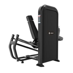 Жим ногами Insight Fitness TY16 (120 кг)
