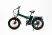 Электровелосипед OMA Electric FE17-R1
