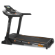 Беговая дорожка Jorgen Svensson Body Labs Physioline TMX TOUCH