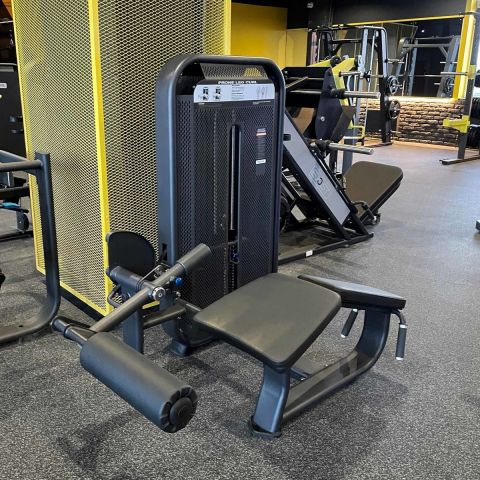 E-7001 Сгибание ног лежа (Prone Leg Cur). Стек 110 кг.