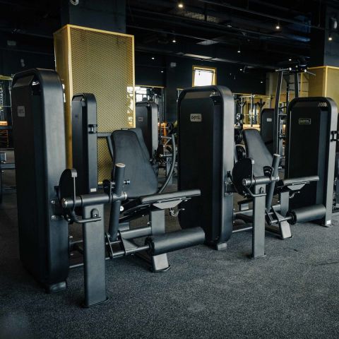 E-7002 Разгибание ног сидя (Leg Extension). Стек 110 кг.