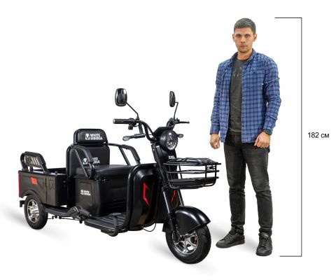 Электротрицикл WHITE SIBERIA SIBTRIKE MAX 2000W