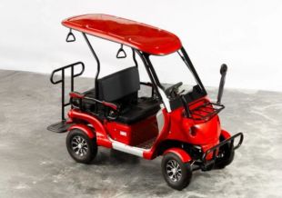 Гольфкар OMA Electric Q8-4 (2+2 60V 1500W)