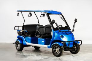 Гольфкар OMA Electric Q8-6 (4+2 60V 2500W)