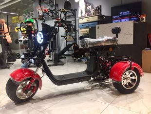 Электротрицикл WHITE SIBERIA PRO TRIKE 3000W