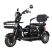 Электротрицикл WHITE SIBERIA SIBTRIKE 2000W