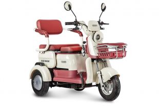 Электротрицикл Rutrike Gelbert Mercury 48V/60V 650Вт