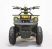 Квадроцикл GreenCamel Гоби K40 (36V 800W R6 Цепь) быстросъем