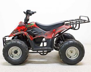 Квадроцикл GreenCamel Гоби K70 (36V 800W R7 Дифф) быстросъем