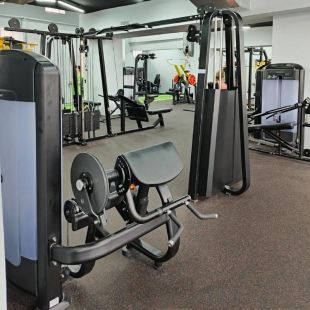 Бицепс/трицепс-машина Insight Fitness TF26