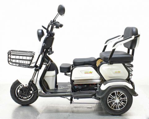 Трицикл GreenCamel Фродо X7 (60V 500W) дифференциал