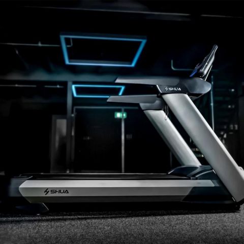 Беговая дорожка SHUA SH-T8919