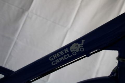 Электровелосипед GreenCamel Трайк-24 V3 (R24 350W 48V12Ah) 7 скор. есть царапины ЛКП