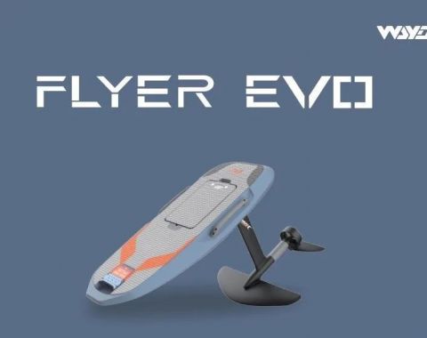 Электрофойл Waydoo Flyer Evo Pro