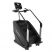 Лестница-степпер Insight Fitness EB8900 (LED)