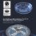 Гребной тренажер водный SHUA SH-R598