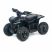 Квадроцикл детский электрический OMA Electric ELF-750 Black
