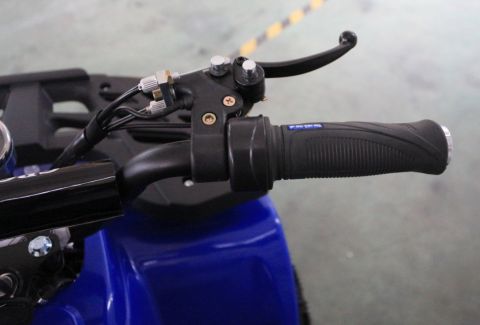 Квадроцикл GreenCamel Гоби K24 (36V 800W R6 Цепь)