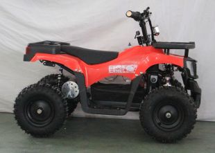 Квадроцикл GreenCamel Гоби K24 (36V 800W R6 Цепь)