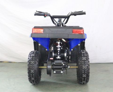 Квадроцикл GreenCamel Гоби K24 (36V 800W R6 Цепь)