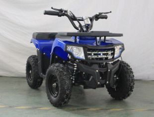 Квадроцикл GreenCamel Гоби K24 (36V 800W R6 Цепь)