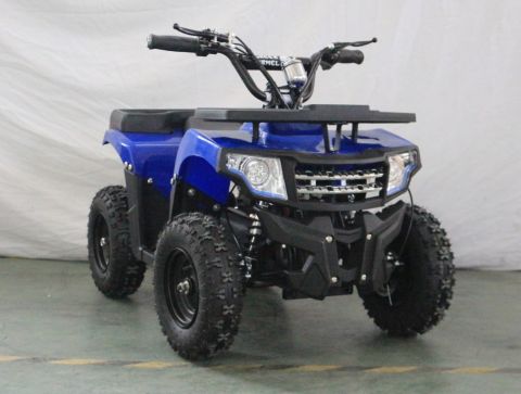 Квадроцикл GreenCamel Гоби K24 (36V 800W R6 Цепь)