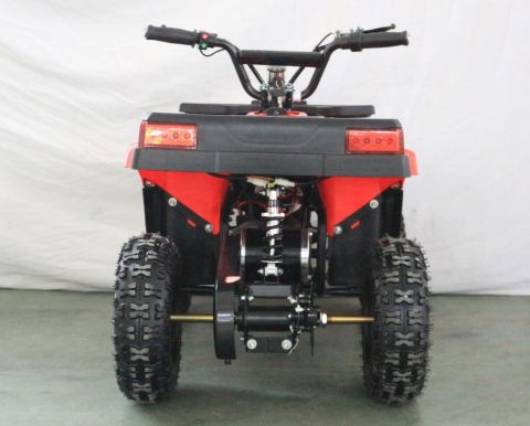 Квадроцикл GreenCamel Гоби K24 (36V 800W R6 Цепь)