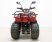 Квадроцикл GreenCamel Атакама T120 (48V 800W R8 Цепь)