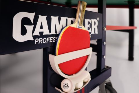 Теннисный стол Gambler DRAGON
