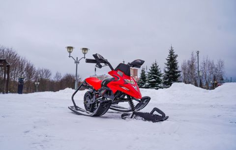 Электроснегокат WHITE SIBERIA BELЁК 800W