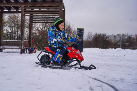 Электроснегокат WHITE SIBERIA BELЁК 800W
