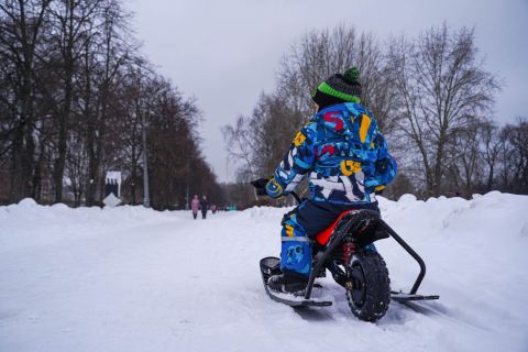 Электроснегокат WHITE SIBERIA BELЁК 800W