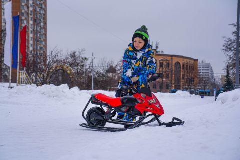 Электроснегокат WHITE SIBERIA BELЁК 800W