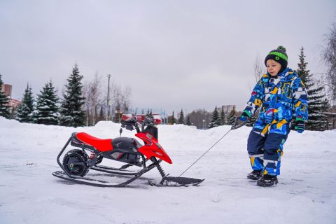 Электроснегокат WHITE SIBERIA BELЁК 800W