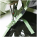 Палатка BTrace Prime 4
