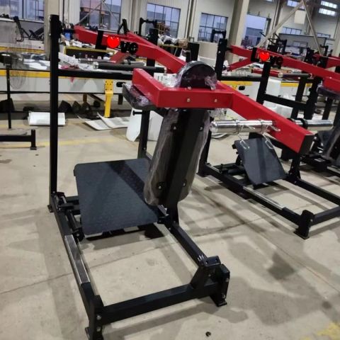 Гакк-присед маятниковый Insight Fitness DZ80C